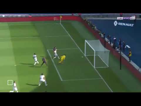 But Edinson Cavani - PSG VS Angers 1-0