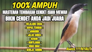 Download lagu MASTERAN BURUNG CENDET GACOR ISIAN LOMBA BIKIN CENDET YANG DENGAR LANGSUNG NYAUT mp3