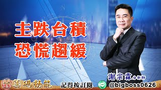 【大戶羅盤籌碼動能】 #謝宗霖 20220704 主跌台積 恐慌趨緩 (圖)