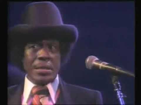 John Mayall & the BluesBreakers feat. Etta James, Buddy Guy, Junior Wells, Albert King - 1982