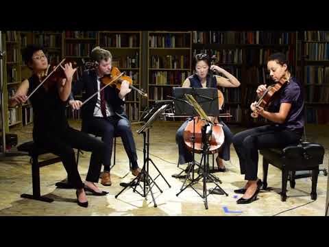 Events | Saint Vincent Concert Series | Argus Quartet