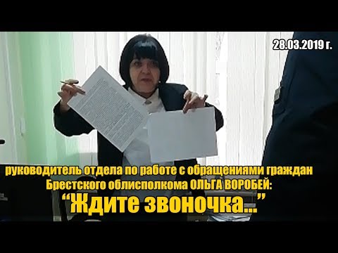 Ольга Воробей на страже Лиса