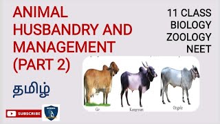 Animal Husbandry and Management (Part 2) in Tamil | Trends in Economic Zoology| Zoology | Class 11