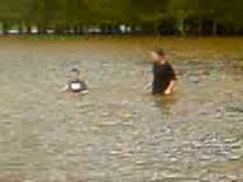 download lagu mp3 mp4 Ellon Health Centre, download lagu Ellon Health Centre gratis, unduh video klip Ellon Health Centre