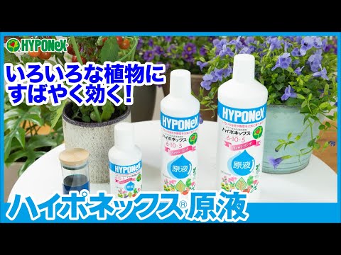ハイポネックス ジャパン様