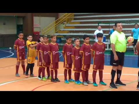 Final Torneio de Férias de Futsal SUB-10 - "Os Gaviões A" vs "Os Gaviões B"