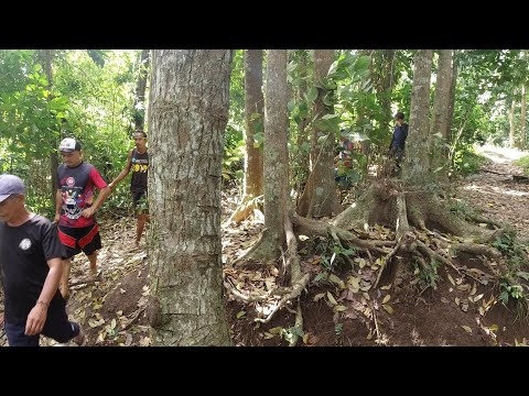 SE03EP016 Part 2 - PANGANGAPA ng HITO ( NATATAGONG TALENTO ni BLACK BEHE | San Pablo City, Laguna
