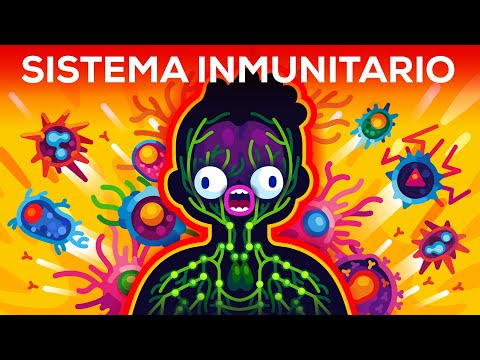 Cómo funciona DE VERDAD el sistema inmunitario