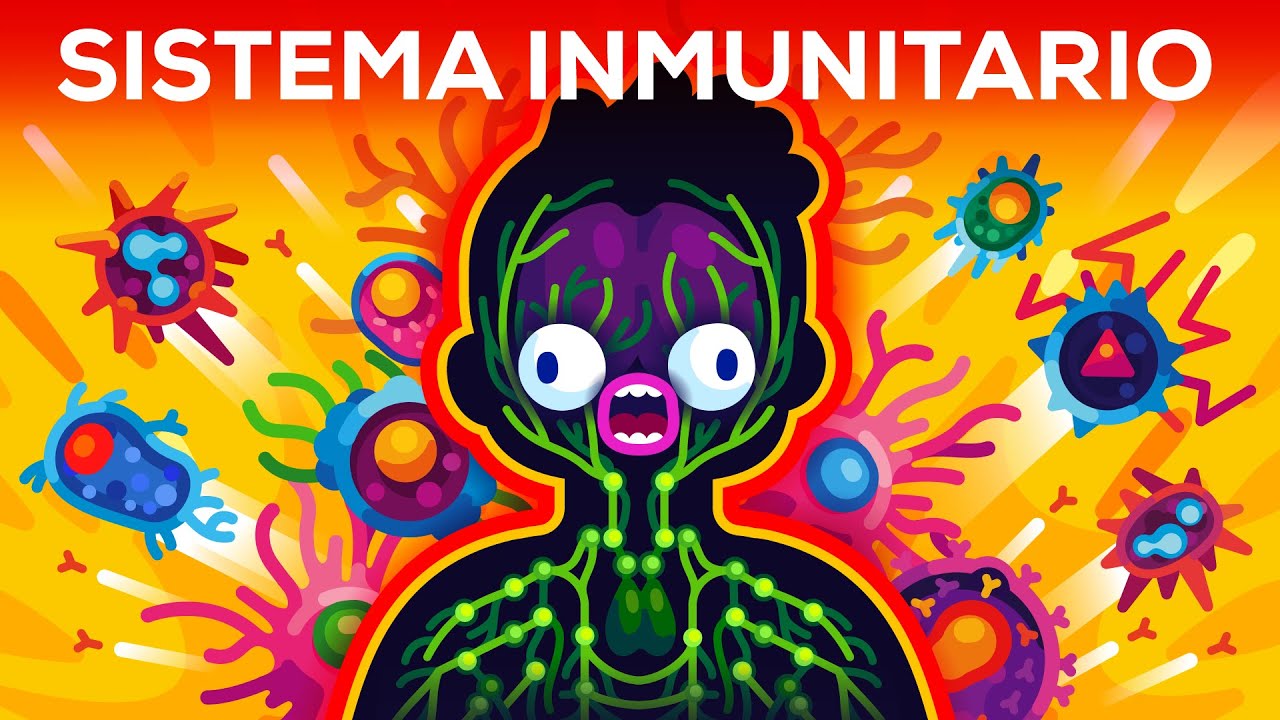 Cómo funciona DE VERDAD el sistema inmunitario