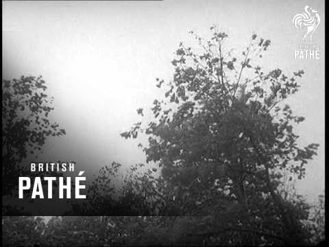 Us Hurricane Havoc (1955)