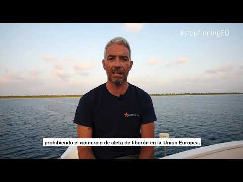 Juandi Alcázar - Stop Finning