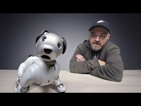 The $3000 Sony Aibo Robot Dog Video