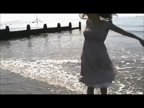 Sergey Nevone - White swans (tranzLift Emotion Remix) [Defcon Recordings]