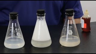 Water Softener vs Salt Free Water Conditioner. What is the difference