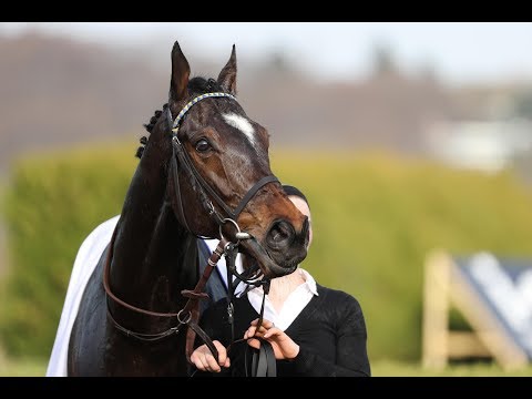 Düsseldorf: Preis der Wettannahme Kalkmann Frühjahrsmeile (Gruppe 3) - Sieger Wonnemond
