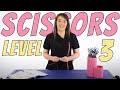 Dog Grooming Scissors Level 3 Dog Groomer