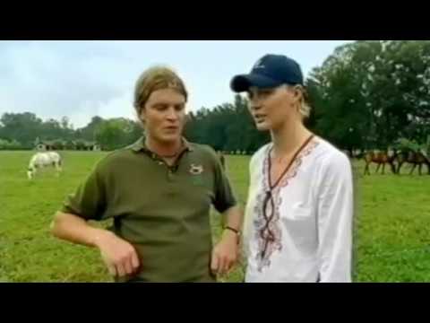 Trouble at the top 160