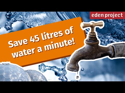 10 Easy Ways to Save Water at Home and Help the Planet: Tips from the Eden Project