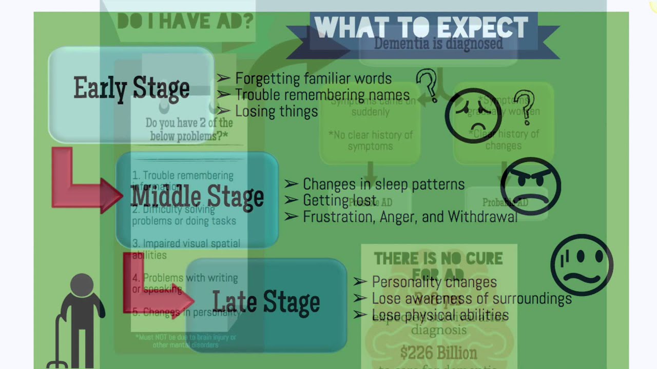 Alzheimer's Disease Infographic 1
