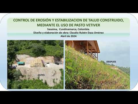 CONTROL DE EROSIÓN CON VETIVER SASAIMA, CUNDINAMARCA, COLOMBIA (ABRIL 2024)