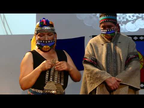 Agrupación de Pueblos Originarios "APO"