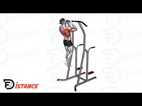 Exercice Traction à la barre (prise neutre)