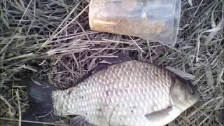 Рыбалка в родниках ивановской области