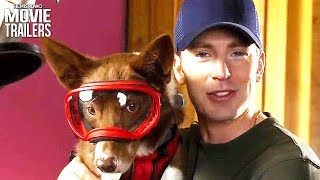 SUPERPOWER DOGS Trailer (IMAX 2019) - Chris Evans Narrated Documentary