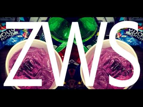 ZWS - We krwi