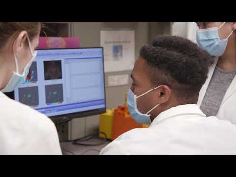 Study: Retraining cells may reverse brain damage after stroke