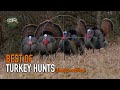 30 Gobbler Hunts In 5 Minutes ULTIMATE Turkey Hunting Compilation BEST OF