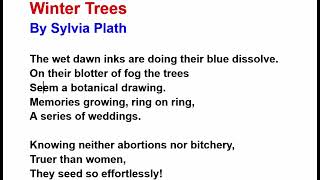 Winter Trees by Sylvia Plath Line by Line Hindi Explanation