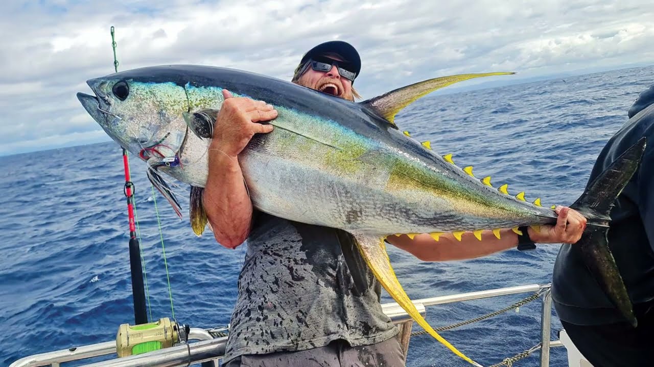 443 Pound Yellowfin Tuna WORLD RECORD (Cabo San Lucas Fishing) #fishing #tunafishing #yellowfintuna