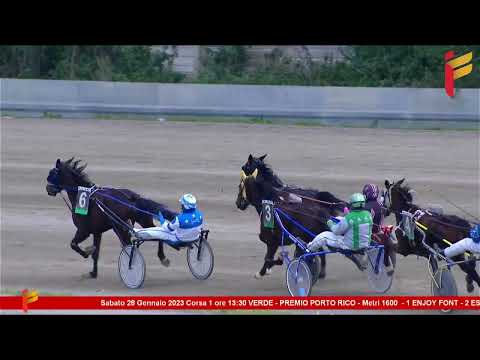 I corsa del 28 gennaio 2023 - 3 Anni - Metri 1600