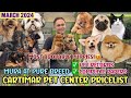 MARCH 2024 UPDATED CARTIMAR PET PRICELIST + GIVEAWAY! CUTE & PURE BREED PUPPIES *MUST WATCH*