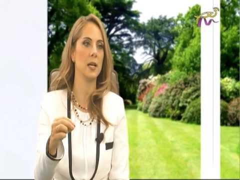 Bassma's President & Founder on Maryam TV