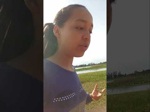 lago totorita san cosme corrientes