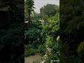 Rainy Season WhatsApp Status ️Barish Status बारिश की सुहाना मौसम