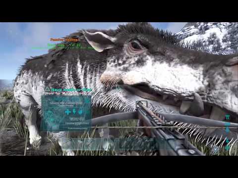 ARK PS4: How to tame a DAEODON (wild bore) & use it to HEAL DINOS!