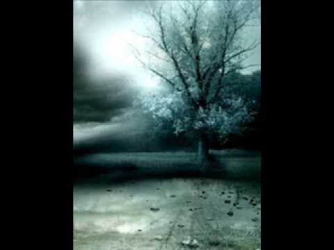 The Academy Is Everything We Had