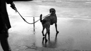 Dominic Miller "if only"