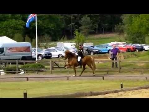 Kronshof 2013 - Tígull vom Kronshof - V1 - isibless