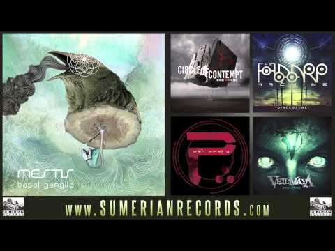 Olvidala - Mestis