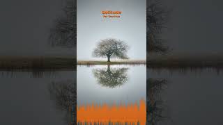 Miniature YouTube : Solitude | Relaxation Profonde & Concentration par Soochrys