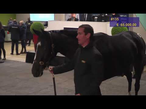 Top Price - 85 000E - GOUSSE VANILLE (AQPS) - Vente Osarus 100% Obstacle 2018