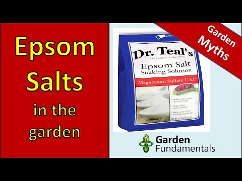 Epsom Salt Myths - learn the truth about using it in the garden [new research]
