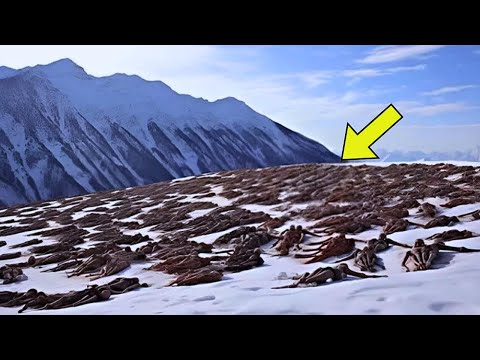 Le drone fait une découverte glaçante sur la montagne, personne n’est censé voir ça