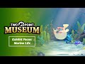 Vídeo de gameplay de Two Point Museum  Playstation