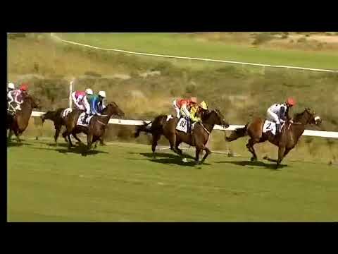 2019.01.26 Majorca Stakes (RSA) - Clouds Unfold