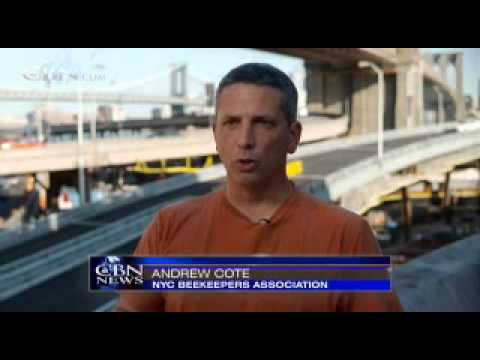 News Channel Morning Edition: December 28, 2012 - CBN.com